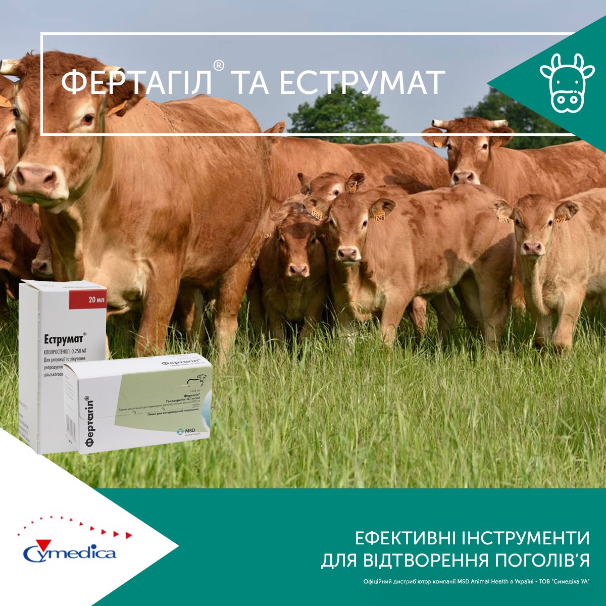 Ефективні ліки для відновлення поголів’я корів