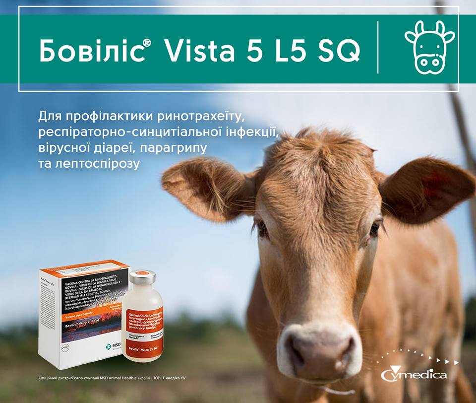 Бовіліс® Vista 5 L5 SQ