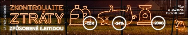 CZK
