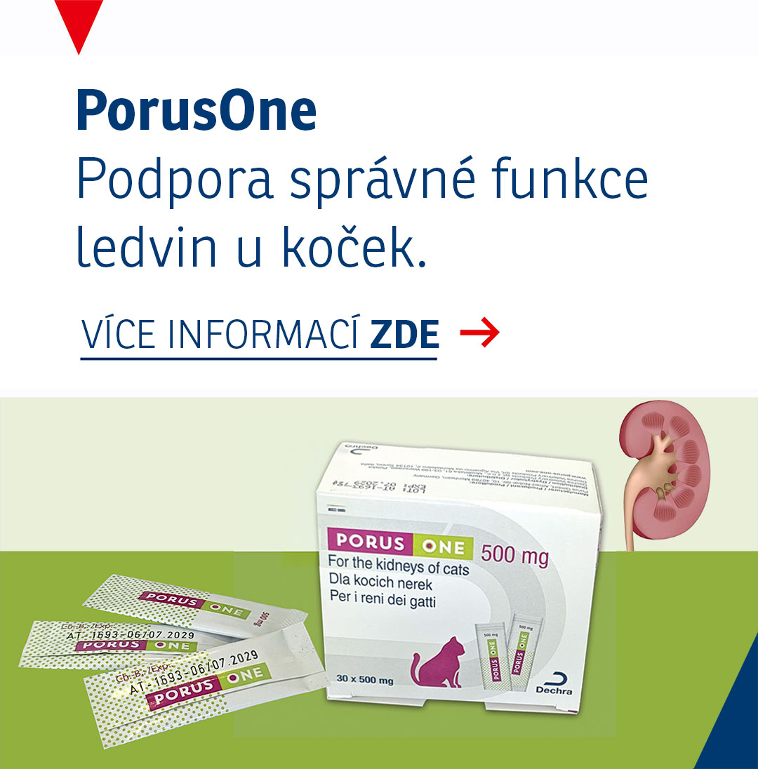 PorusONe – podpora správné funkce ledvin u koček