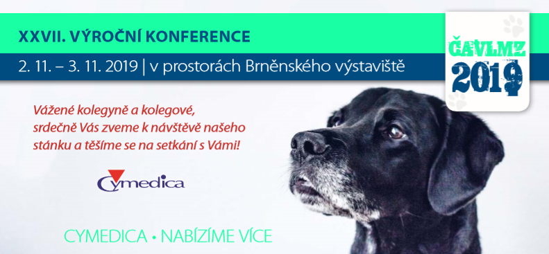ČAVLMZ