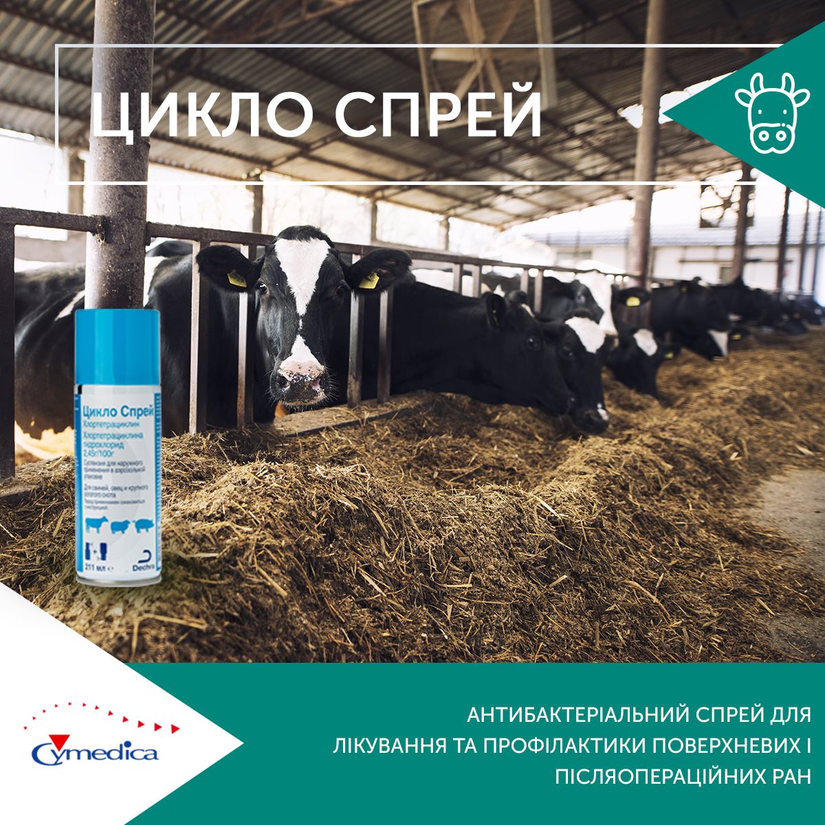 Цикло Спрей – лікування дерматиту та некробактеріозу