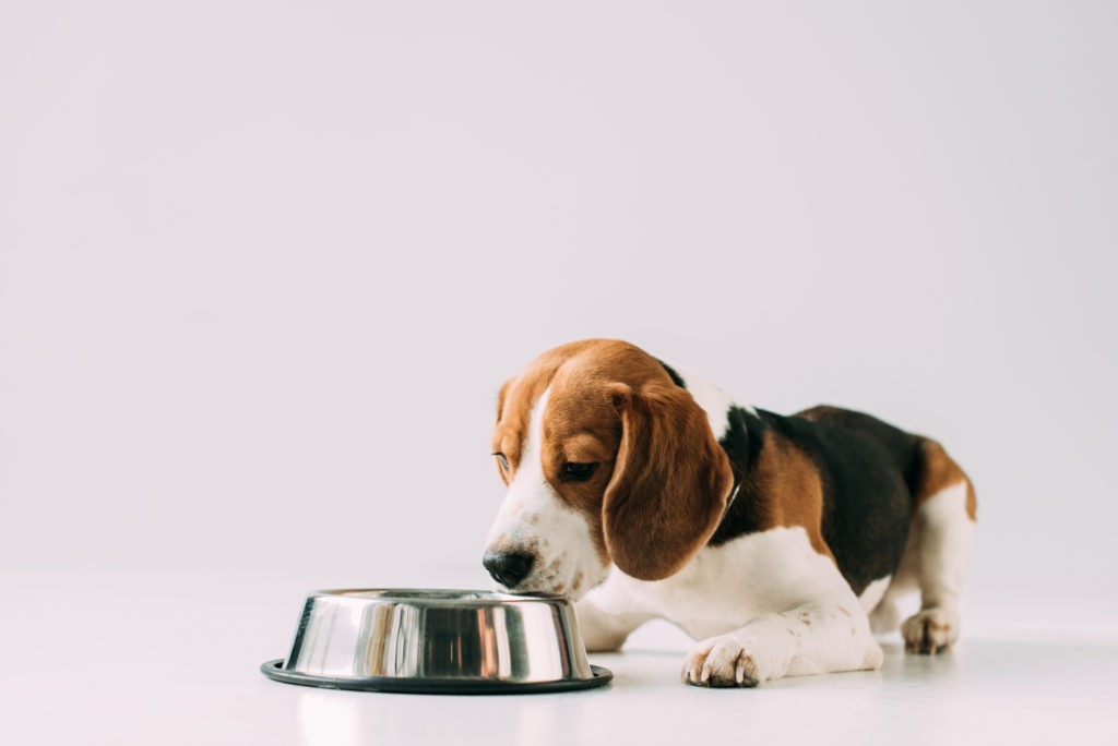 depositphotos 241112516 l