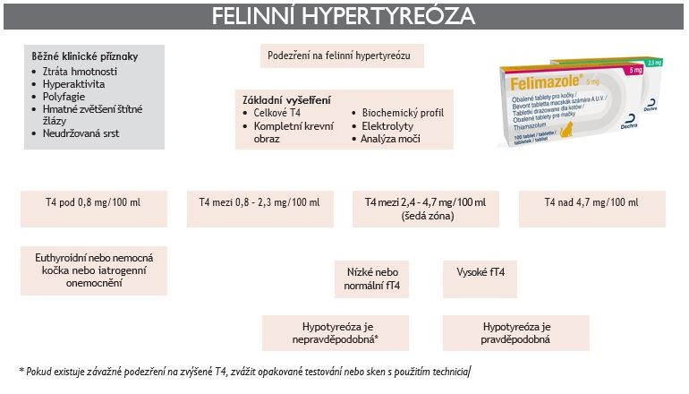felinni hypertyreoza