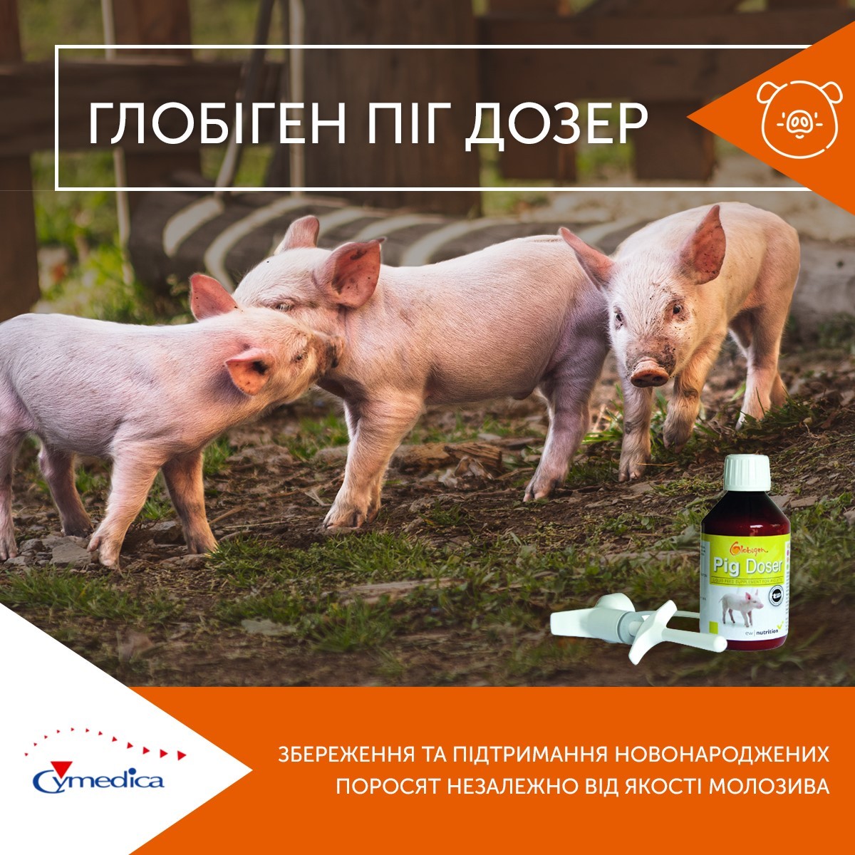 Глобіген Піг Дозер для підтримки поросят у перші дні життя