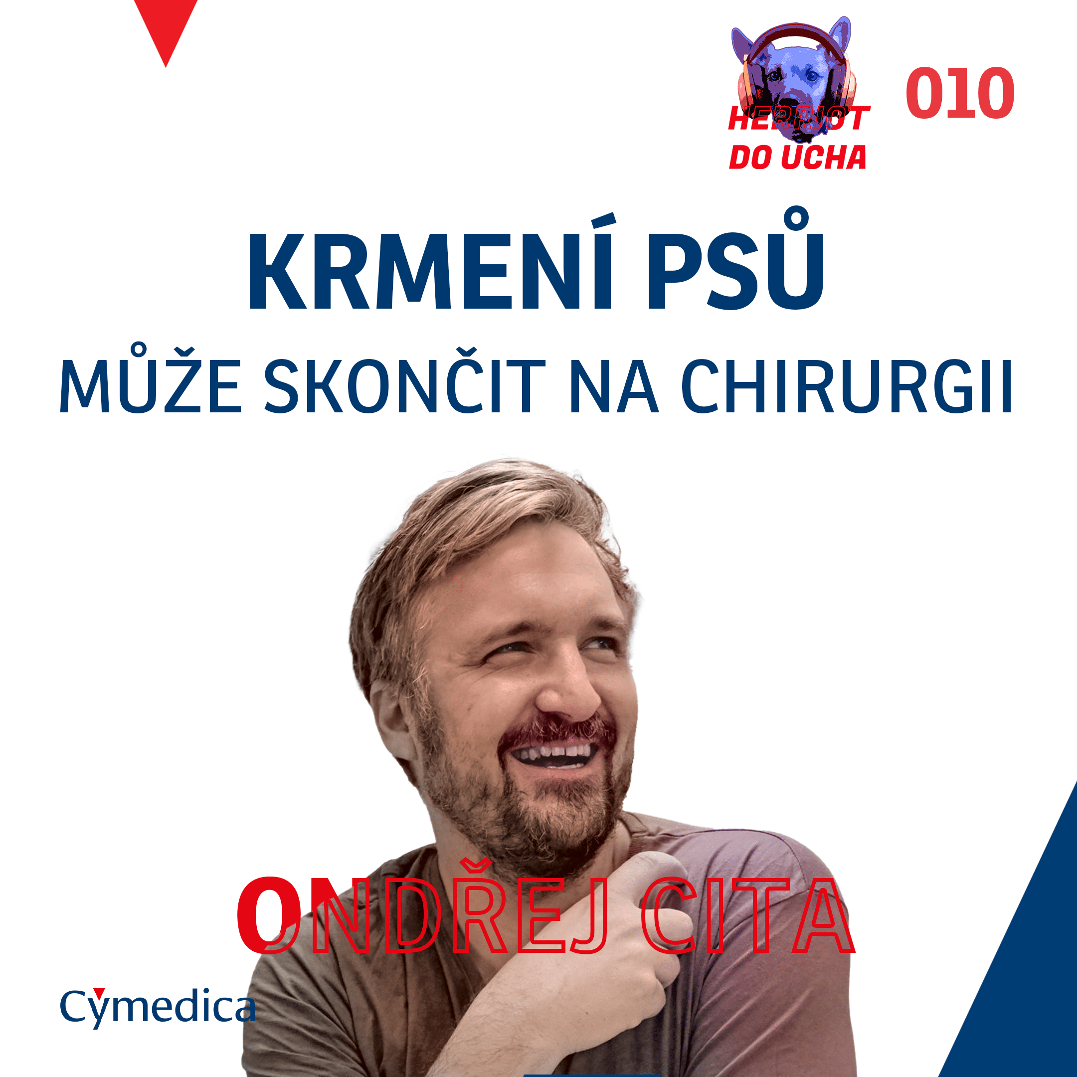 Podcast Herriot do ucha #10 – Jak hraní a krmení psů a koček může skončit na chirurgickém sále aneb co zajímavého může najít veterinář v trávicím traktu kočky nebo psa