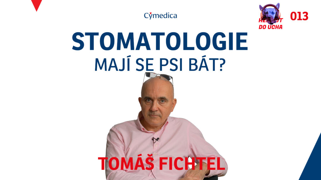 herriot do ucha 013 16 9 cz stomatologie aneb aby na vas pes mohl cenit zuby musite se o ty jeho starat stejne jako o ty svoje