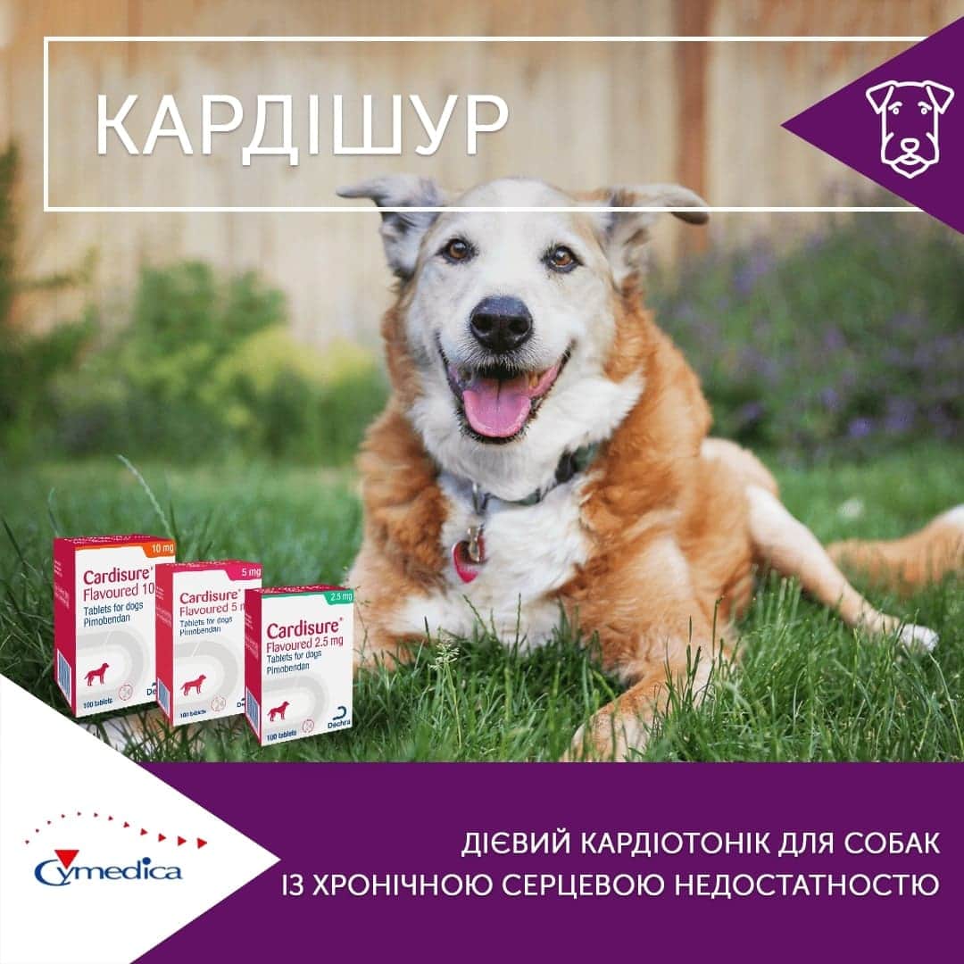Кардішур відтепер офіційно в Україні