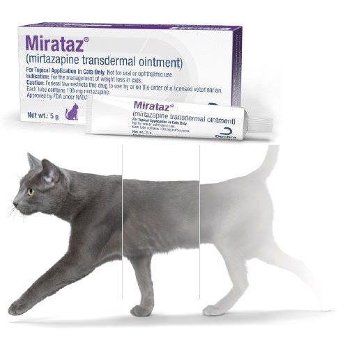 Mirataz® – transdermální mast pro kočky