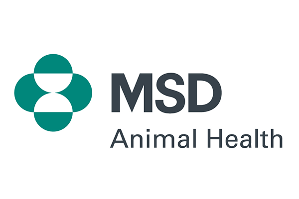 msd logo1