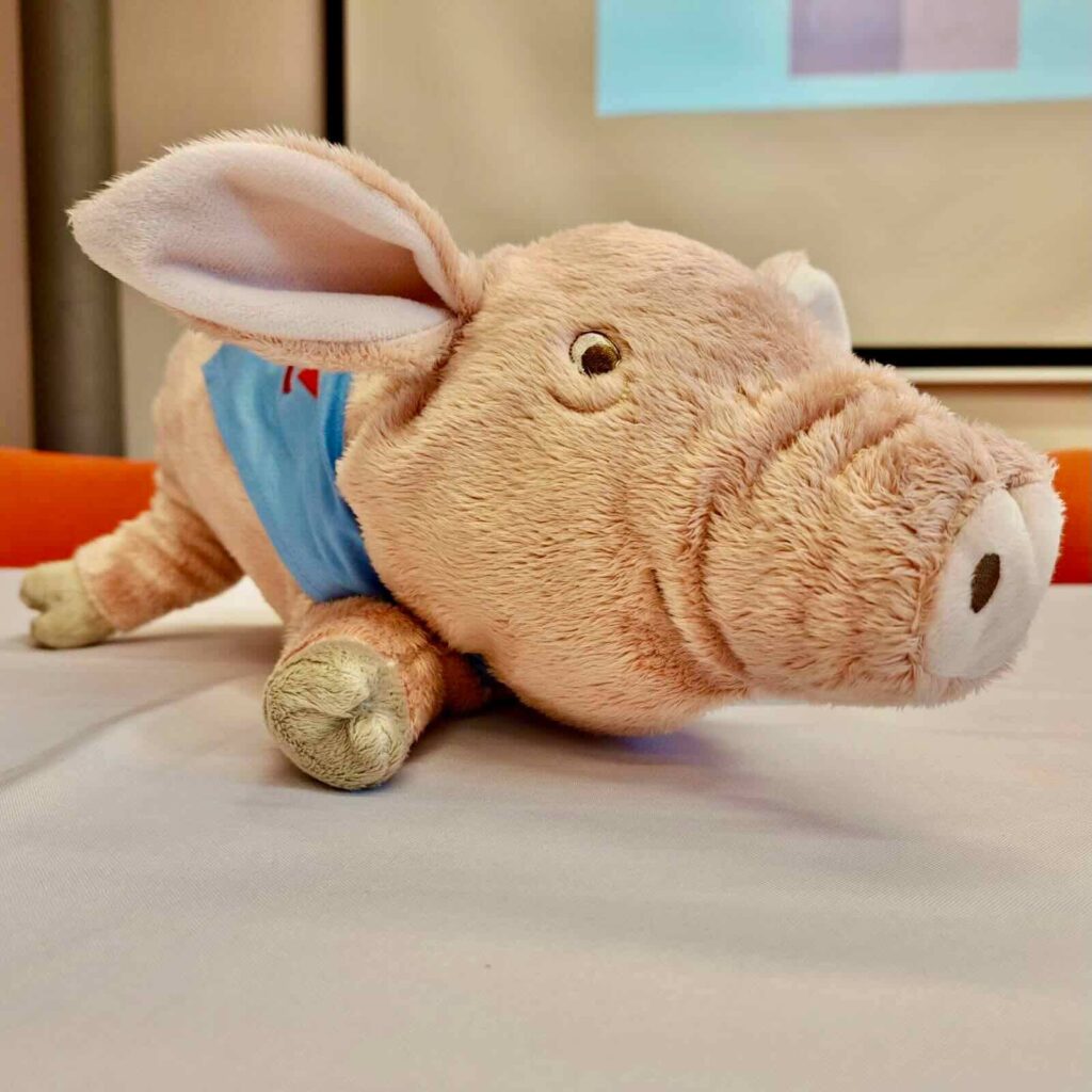 ohlednuti za seminarem pra se4 na kvadrat 2024 cymedica 2 1