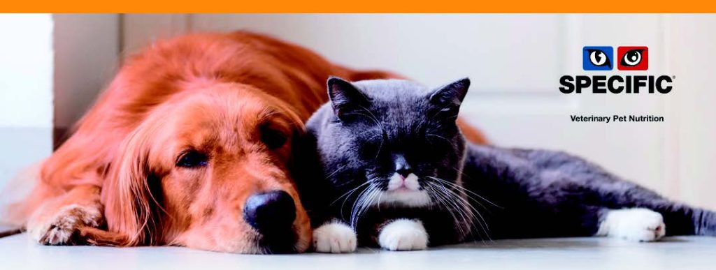 podklad 07 23 ca zakladni doporuceni pro lecbu a prevenci...