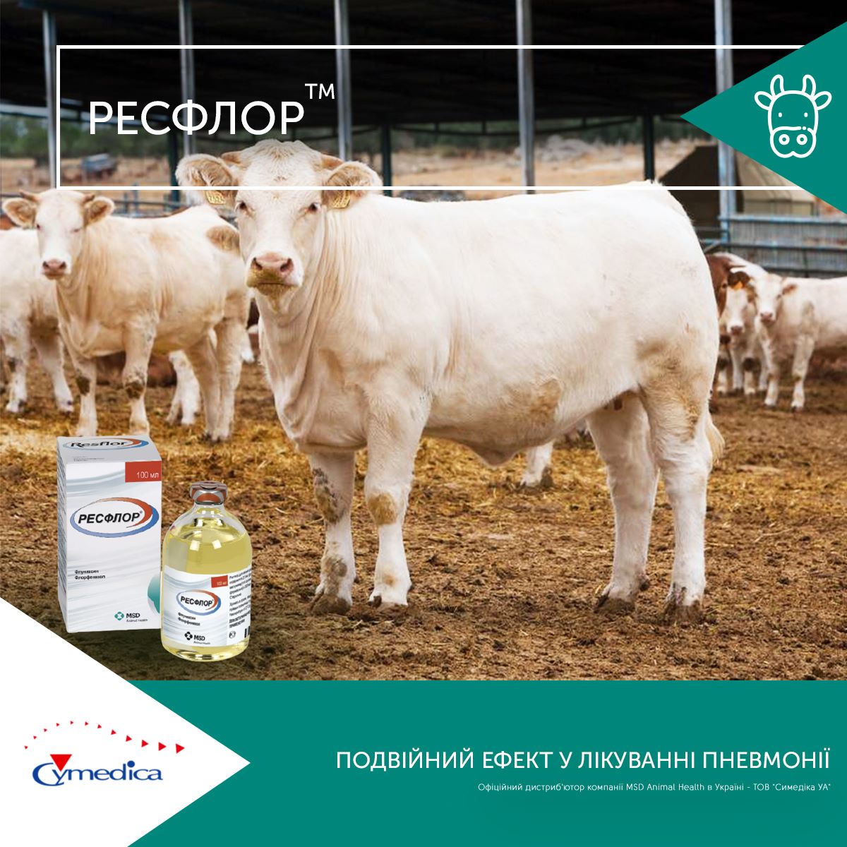 Ресфлор – для лікування пневмонії у телят