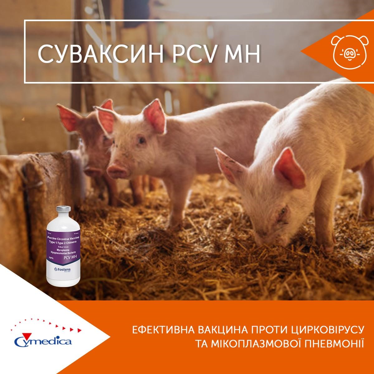 Засіб проти пневмоній у свиней – Суваксін PCV MH