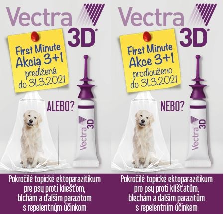 First Minute AKCE 3+1 VECTRA 3D