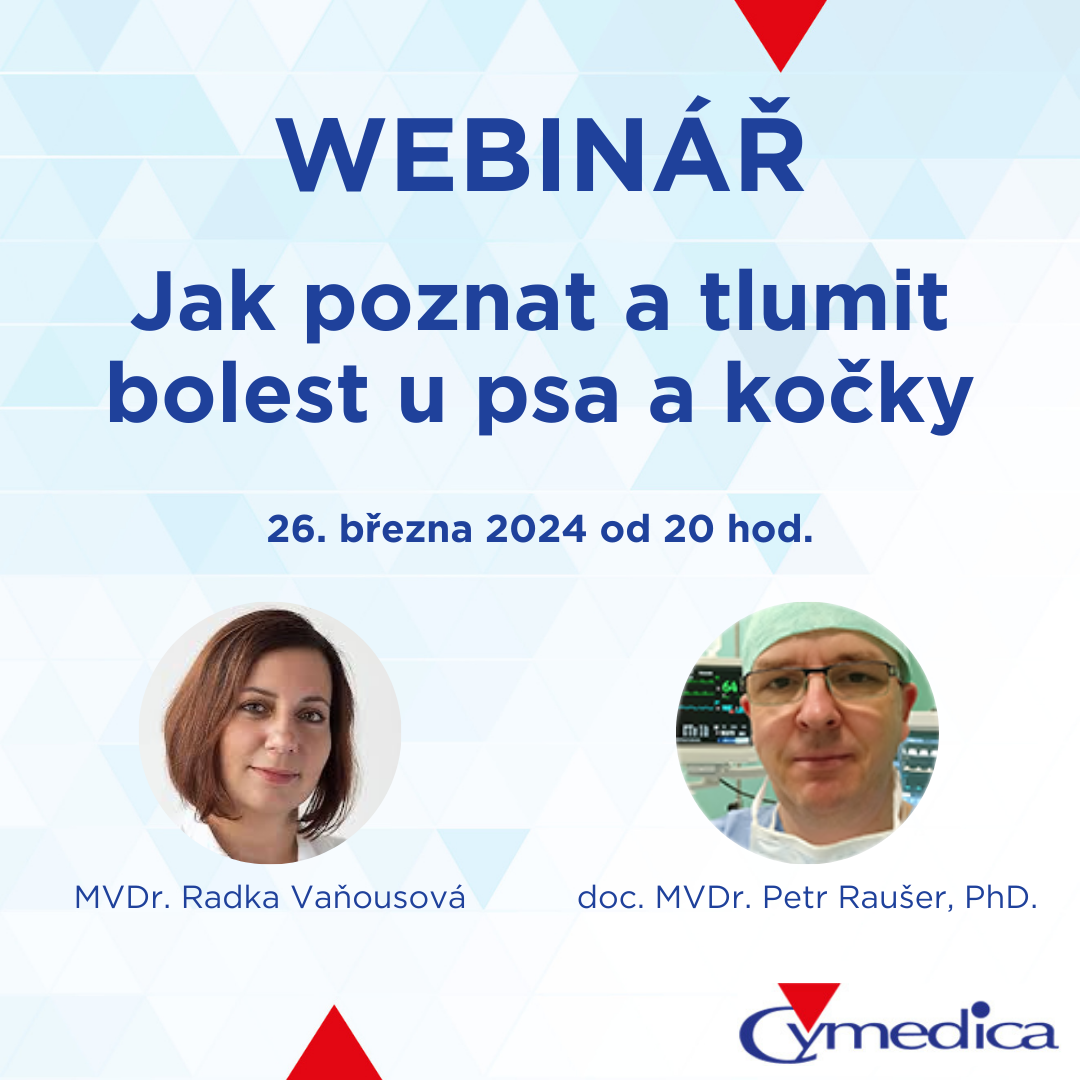 Jak poznat a tlumit bolest u psa a kočky