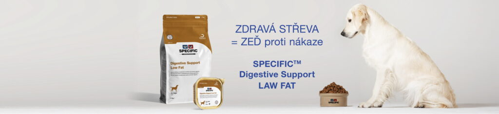 zdrava streva slider 2560x584px