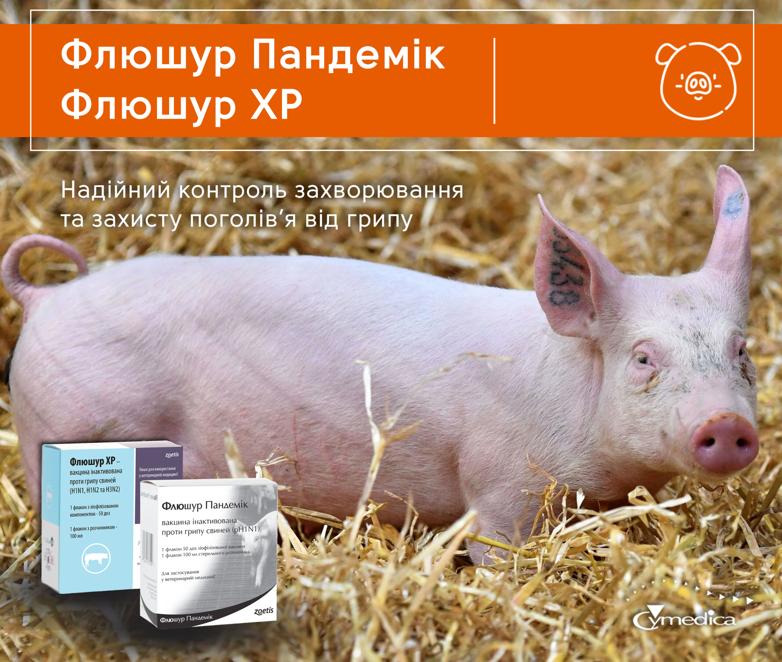 Грип Свиней, Флюшур ХР, Флюшур Пандемік