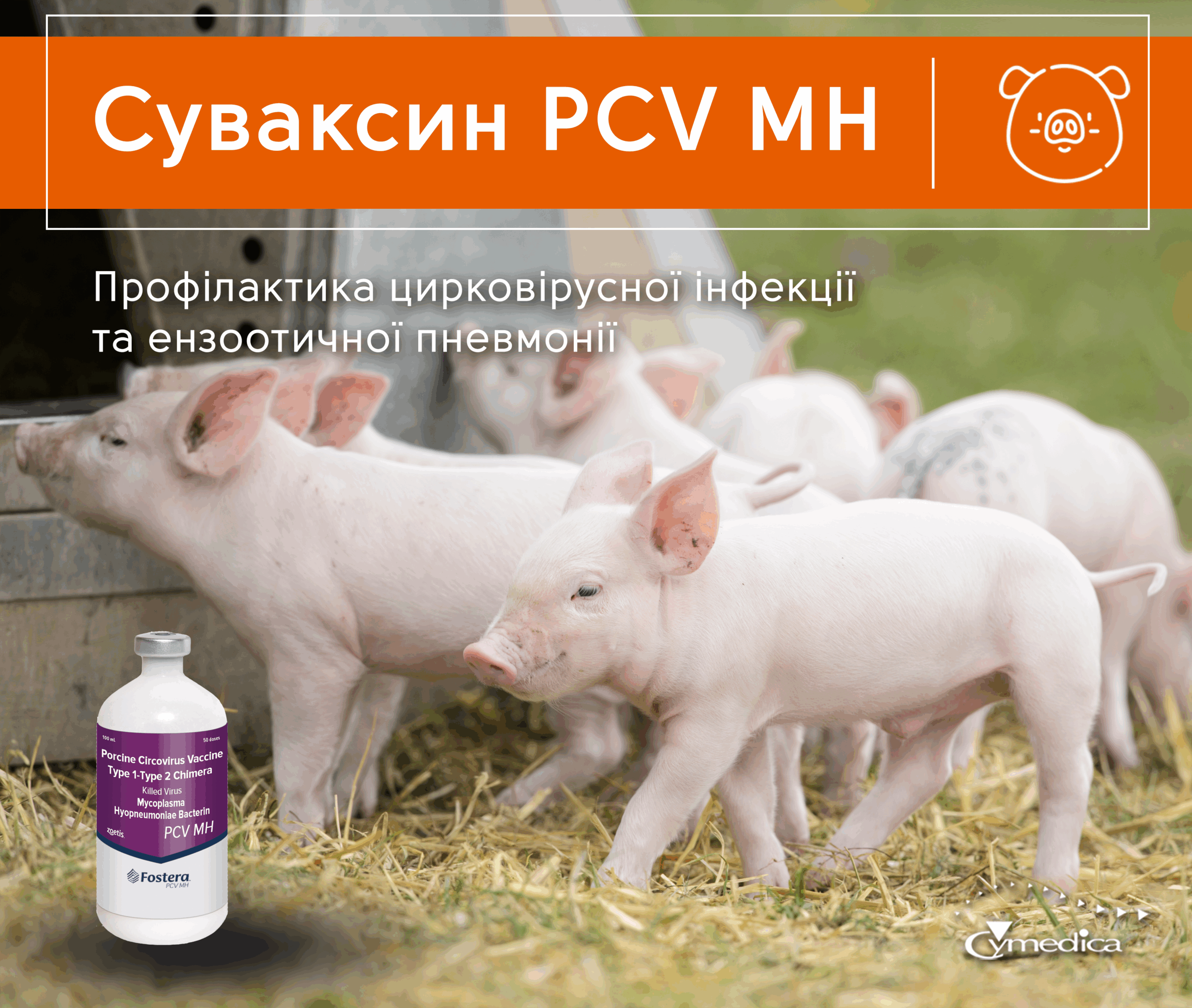Суваксін ПЦВ МГ