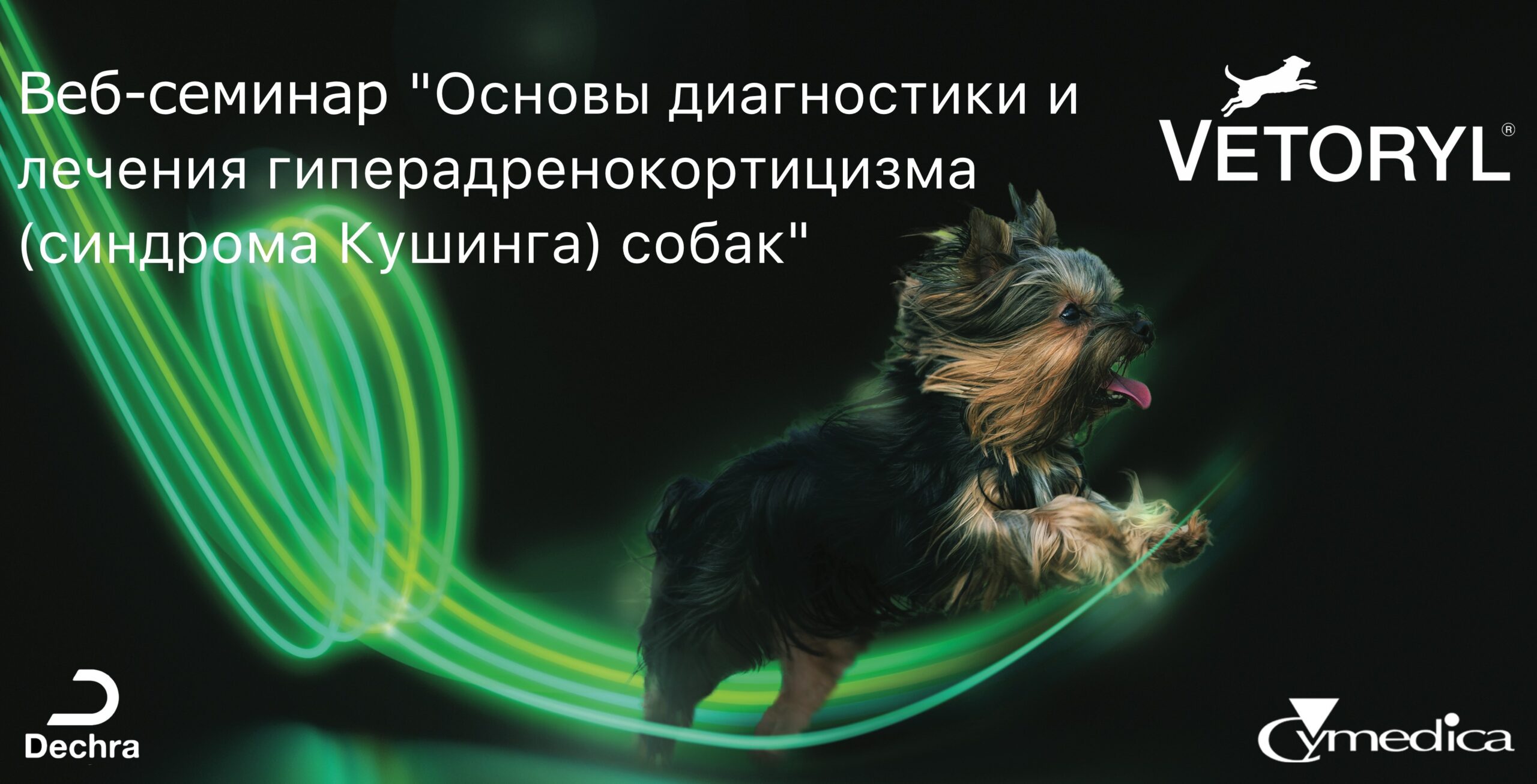Бесплатный вебинар по диагностике, лечению и мониторингу пациентов с синдромом Кушинга