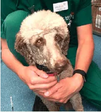 datovyCC81 zdroj 1 2