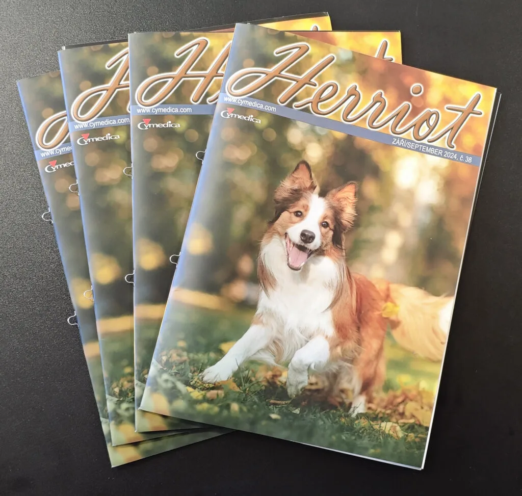 img 20240906 114615 1024x973 1