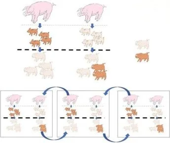 obraCC81zek1 345x289 1