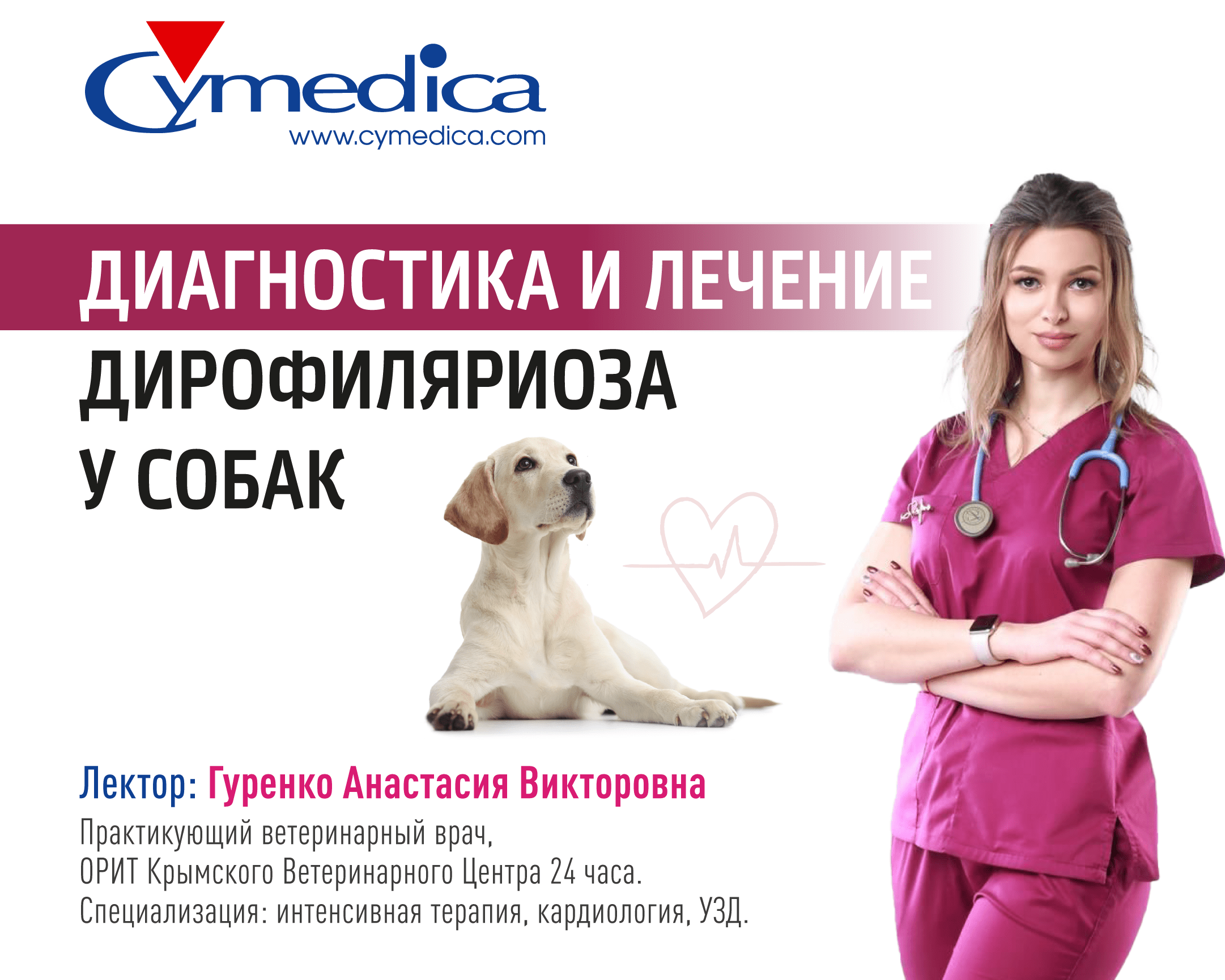 Запись вебинара на тему „Диагностика и лечение дирофиляриоза у собак“