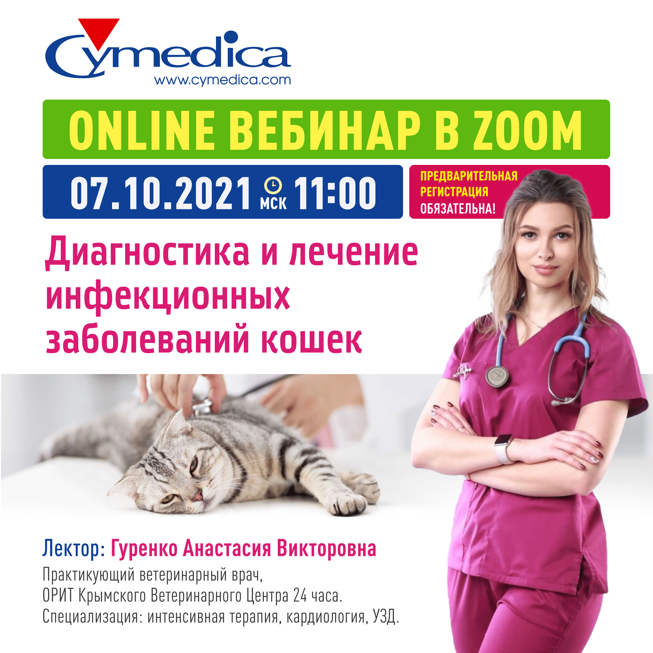 Запись вебинара „Диагностика и лечение инфекционных болезней кошек“