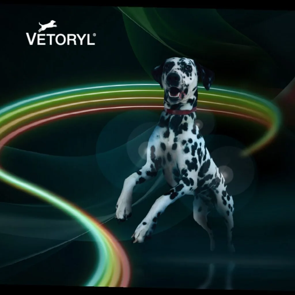 vetoryl letáky a dotazníky