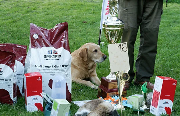 Sponzoring-partner-kliniky3