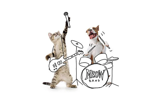 cymedica skinmed 620x400