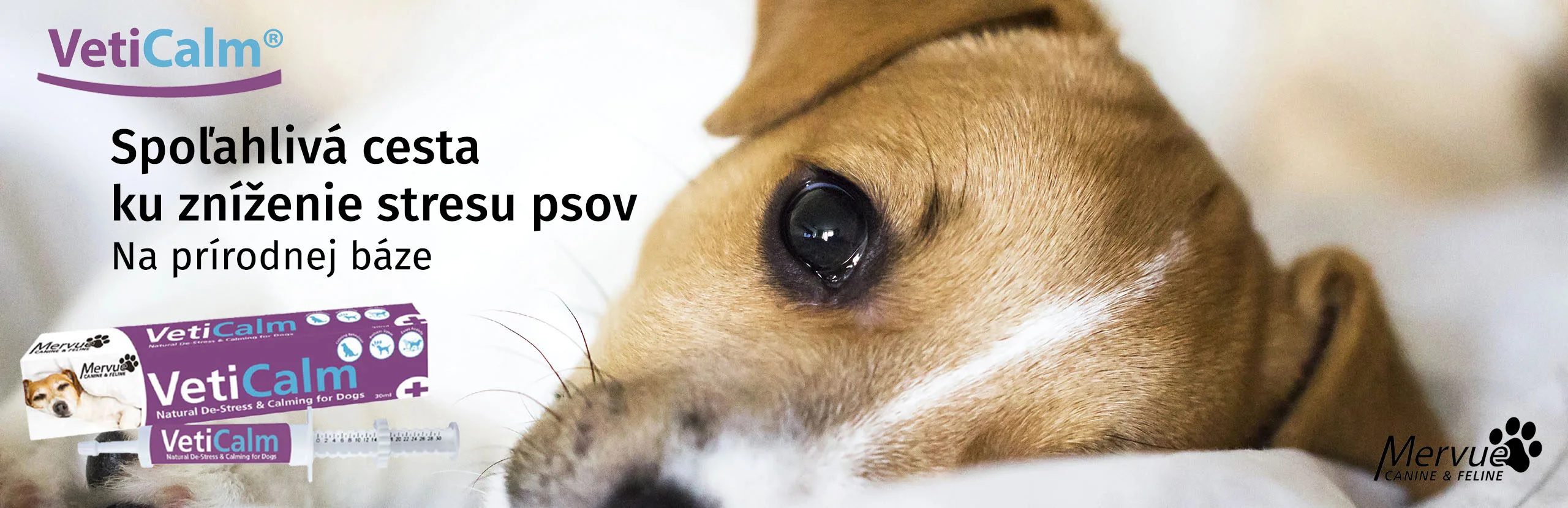 vetical carousel cymedica