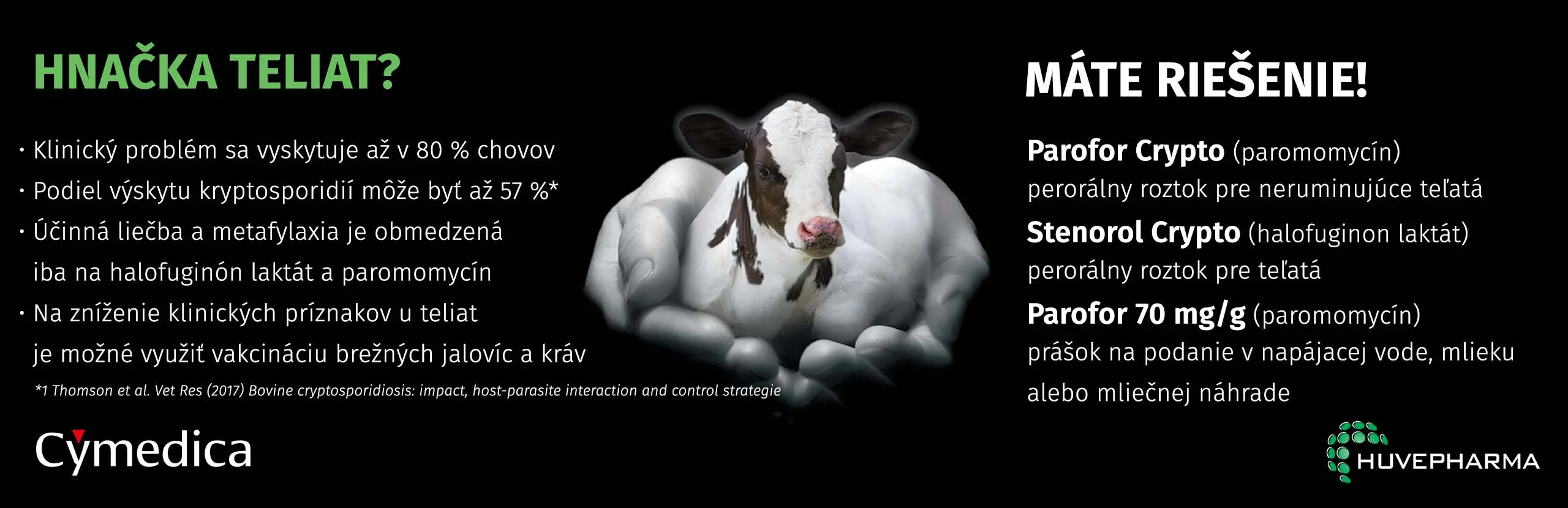 kryptospordioza cymedica