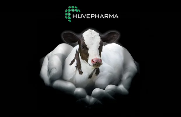 cymedica kryptosporidióza