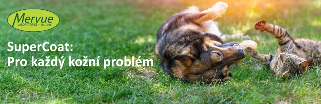 supercoat web 2560x830 bezCTA