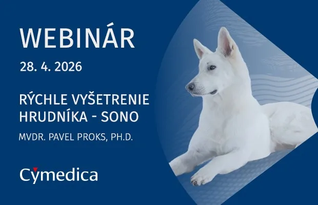 Rýchle vyšetrenie hrudníka – SONO