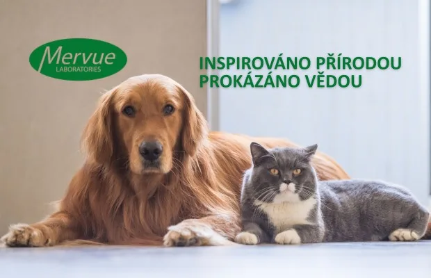 Kůže