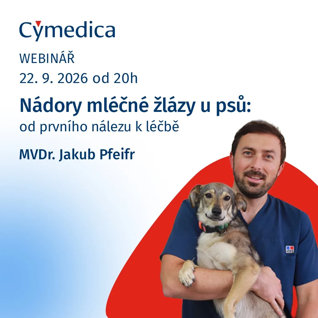 Nádory mléčné žlázy u psů: od prvního nálezu k léčbě
