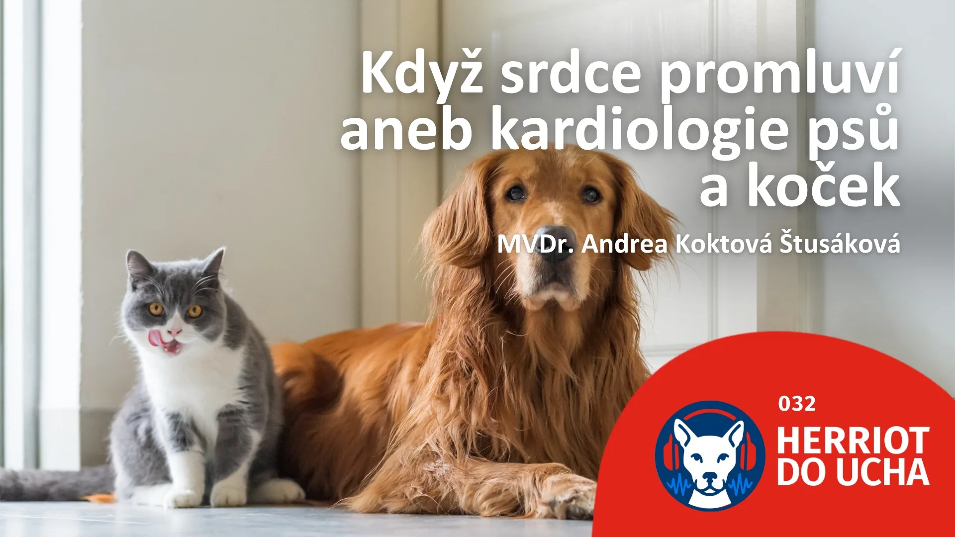 Poslechněte si #32 díl podcastu Herriot do ucha na téma „Když srdce promluví aneb kardiologie psů a koček”